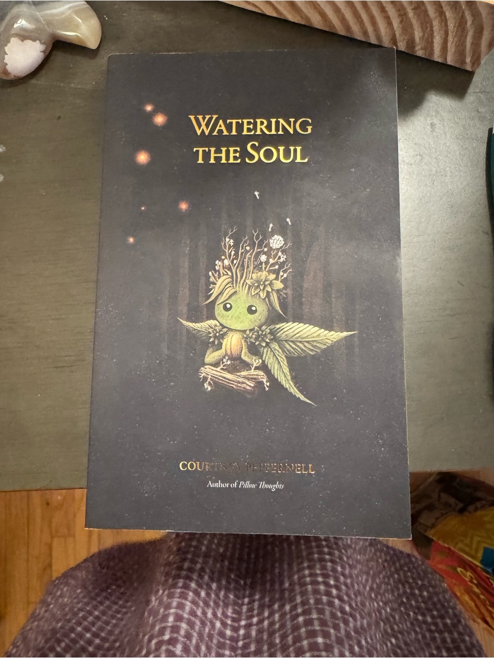 Watering the Soul Book - Black Cover with Green Illustration